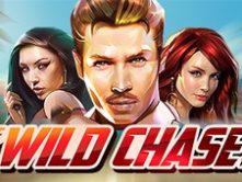 Tthe Wild Chase